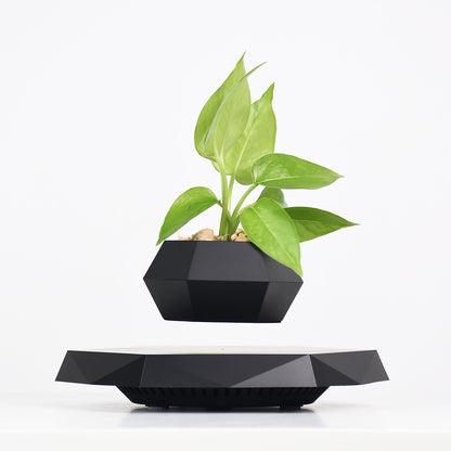 Plante Magnétique Lévitable – Pot de plante flottant