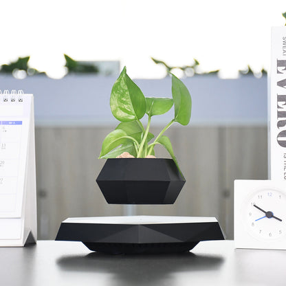 Plante Magnétique Lévitable – Pot de plante flottant