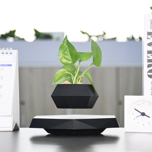 Plante Magnétique Lévitable – Pot de plante flottant